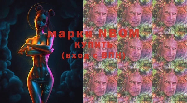 стаф Балахна