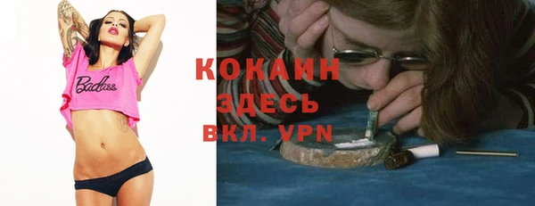 стаф Балахна