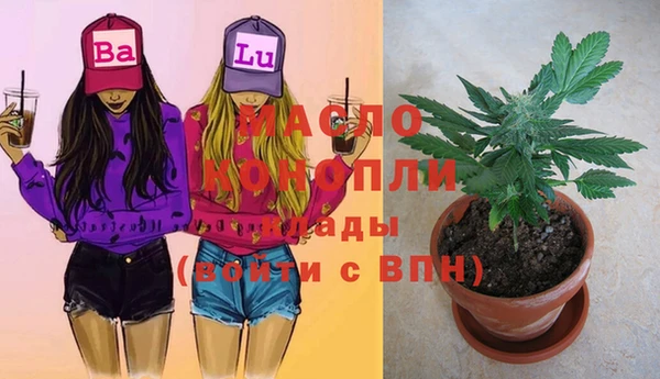 стаф Балахна
