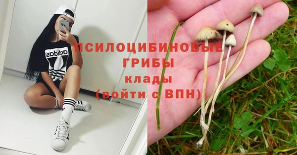 стаф Балахна